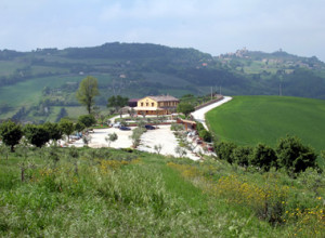 image0 Poggio Agli Ulivi