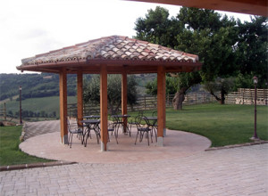 image2 Poggio Agli Ulivi