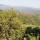 preview image4 panorama