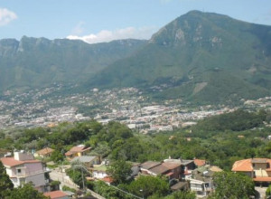 image5 La Selva