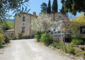 Gli Ulivi