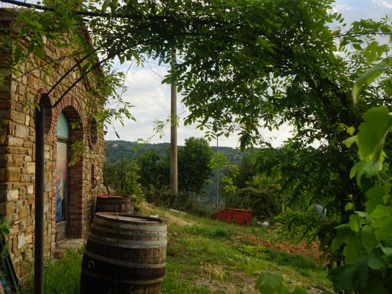 Il Falco Del Cilento - foto 10