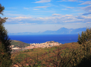 image1 Il Falco Del Cilento