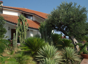 image0 Il Falco Del Cilento