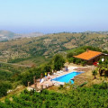 Il Falco Del Cilento