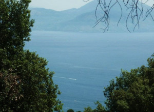 image4 Palazzone