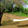preview image10 giardino