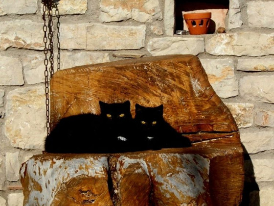 sant'elia foto esterno 9