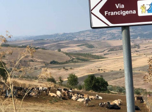 image8 Sant'elia