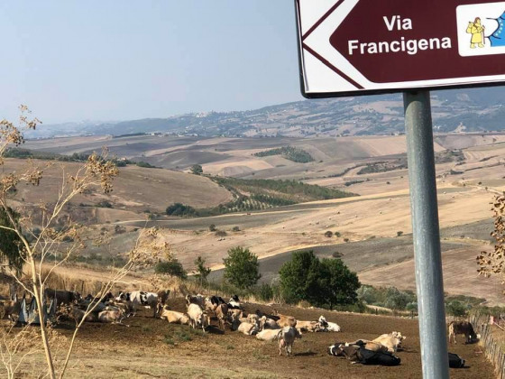 sant'elia foto esterno 2