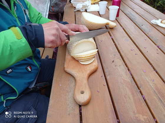 sant'elia foto esterno 12