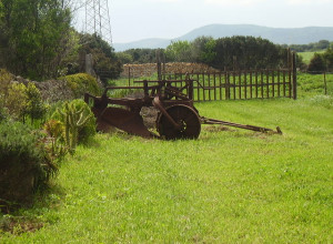 image4 Cuile De Molino