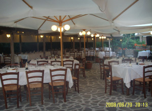 image14 Ricciardelli