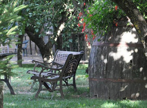 image2 Ricciardelli