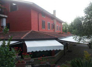 image4 Ricciardelli