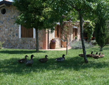 vivinatura