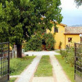 Il Gelso Nero
