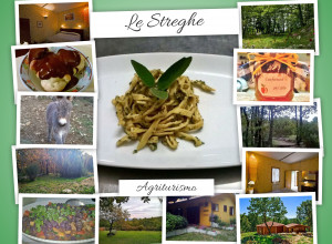 Gestore: Michele De Sanctis