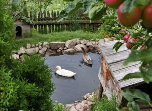 image22 Weberhof