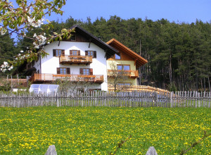 image23 Weberhof