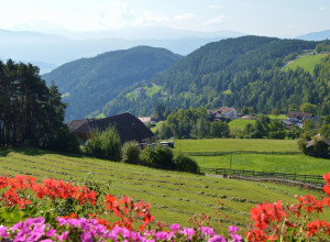 image21 Weberhof