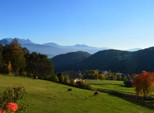 image7 Weberhof