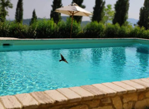 image16 Il Borgo Del Lupo