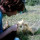 preview image1 esterno