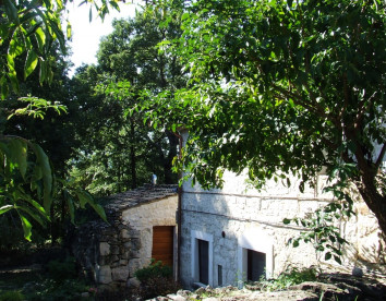 case catalano