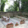 preview image6 piscina