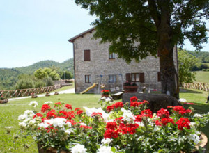 image5 Santo Stefano