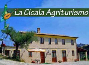 image9  La Cicala