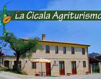  la cicala