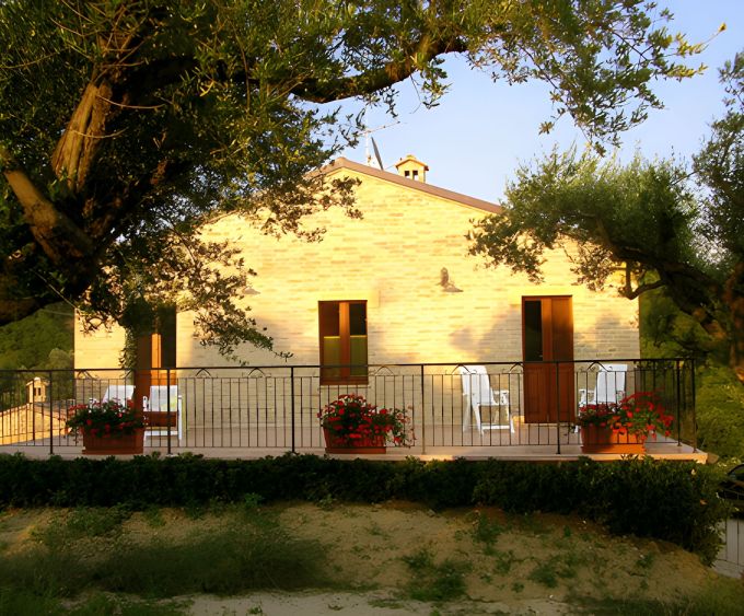Restaurant  La Cicala