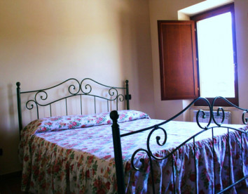  la cicala