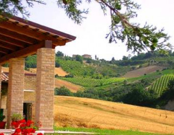  la cicala