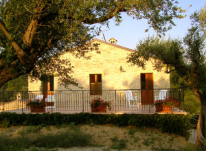image16  La Cicala