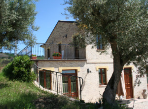 image12  La Cicala