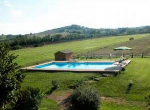 image0 Olmo Bello