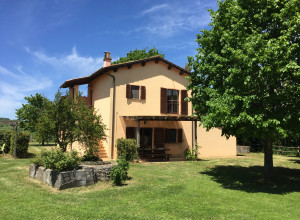 image3 Olmo Bello