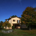 Olmo Bello