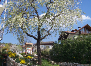 image4 Agritur Cristina