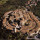 preview image9 dintorni