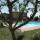 preview image8 giardino