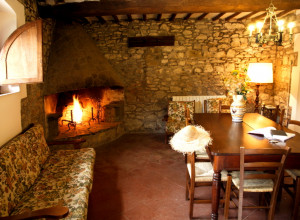 image16 Fattoria Castelvecchi