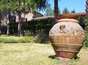 image8 Fattoria Castelvecchi