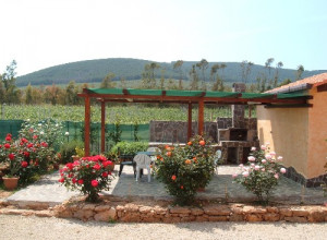 image6 Le Camelie