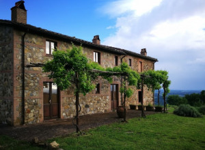 image23 Acerona