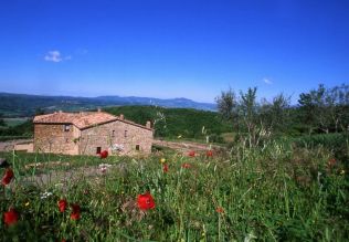 image2 Acerona