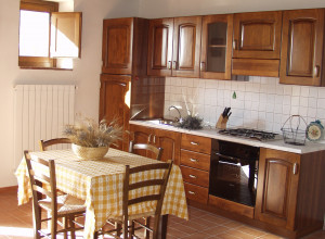 image14 Acerona